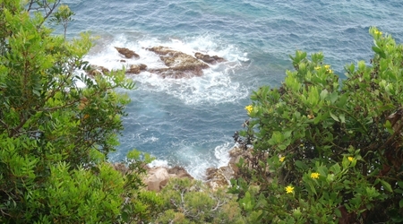 Blanes   ogrod marimutra7 – Tossa de Mar, Hiszpania
