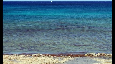 Protaras 024 – Cypr