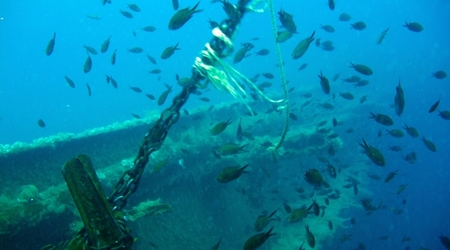 Zenobia 078 – Cypr