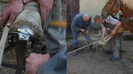 Za stodołą – Goręczyno, Polska