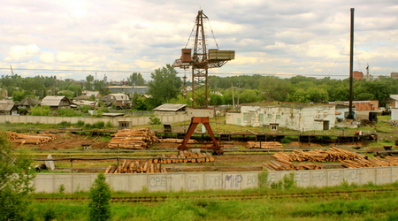 drewno z tajgi syberyjskiej – Krasnojarsk, Rosja