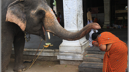 Indie 5744 – Tamil nadu