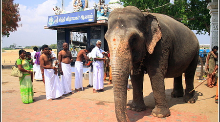 Indie 5747 – Tamil nadu