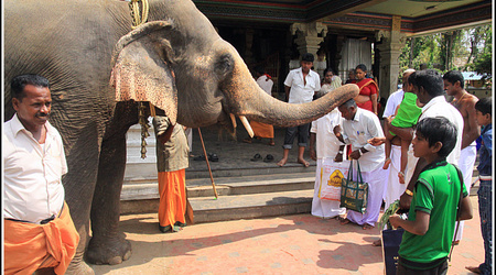 Indie 5754 – Tamil nadu