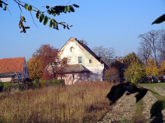 Szkola