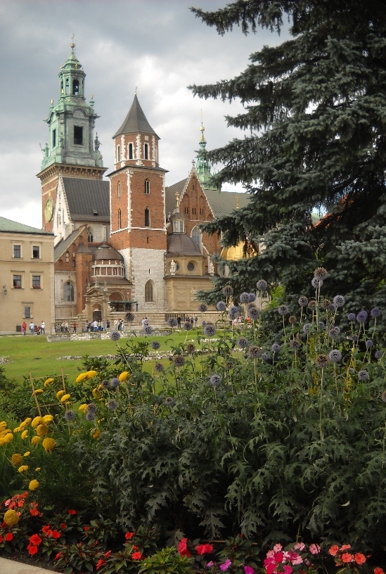 Wawel - widok na katedrę 