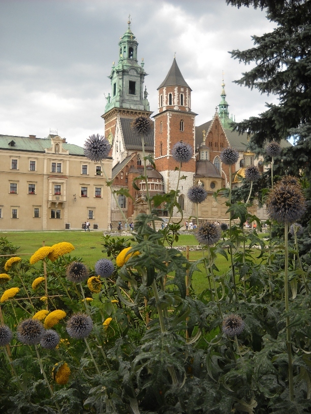 Wawel - widok na katedrę