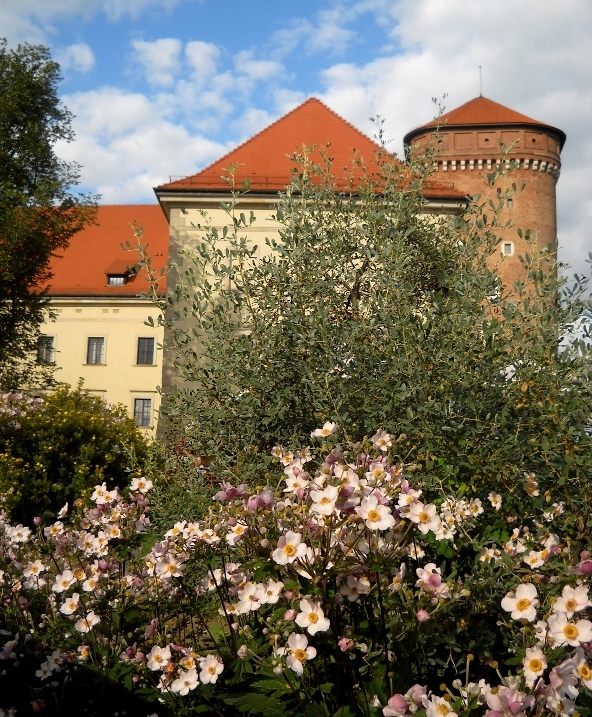 Wawel
