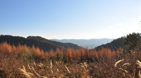 Bieszczady 1 – Polska