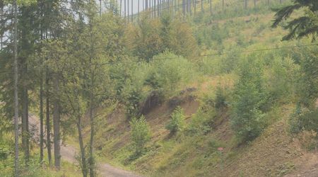 Przyroda – Ujsoły, Polska