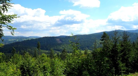 Husyckie Skały – Janowice Wielkie, Polska