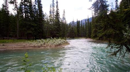 Spacer wzdłuż rzeki Bow – Park narodowy banff, Kanada