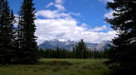 Przez łąki – Park narodowy banff, Kanada