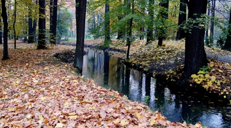 Jesień – Żywiec, Polska