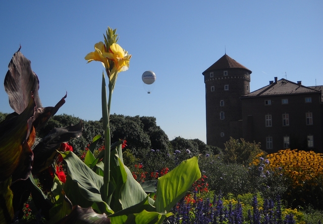 Wawel