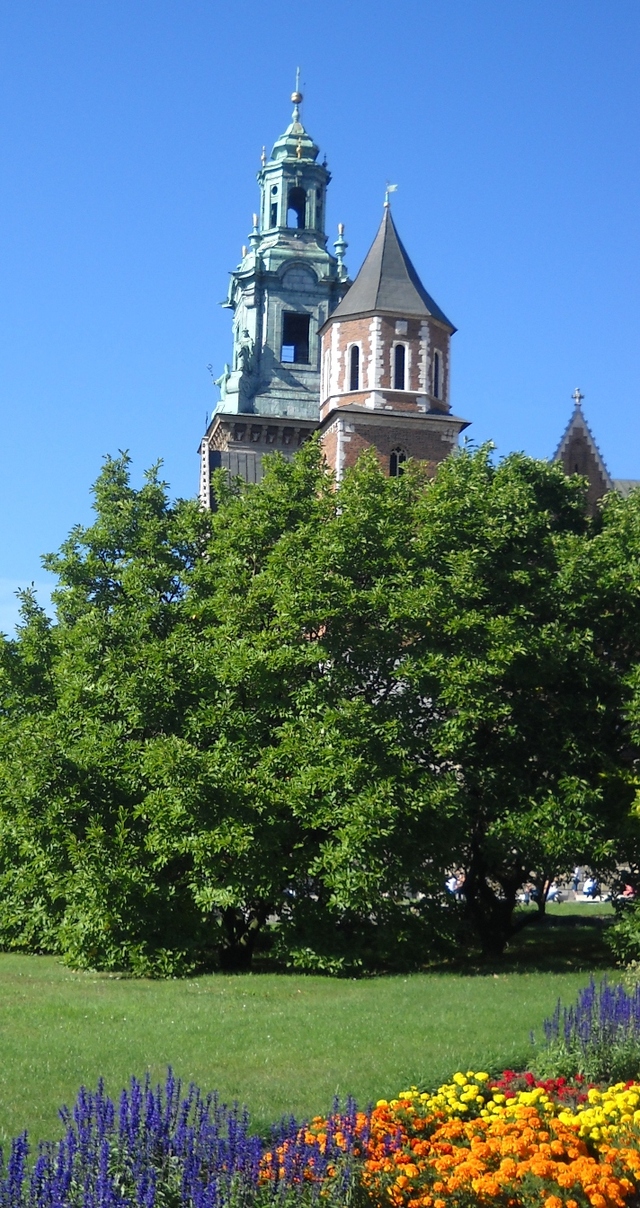 Wawel