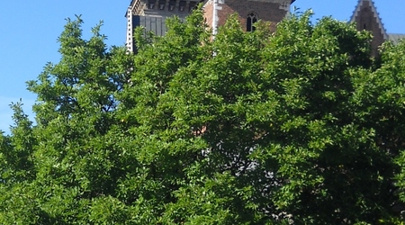 Wawel – Kraków, Polska