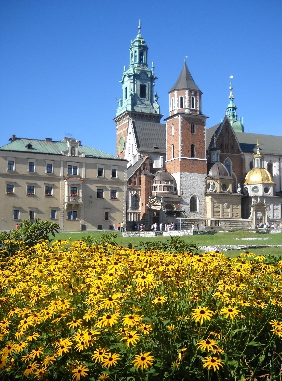 Wawel - widok na katedrę