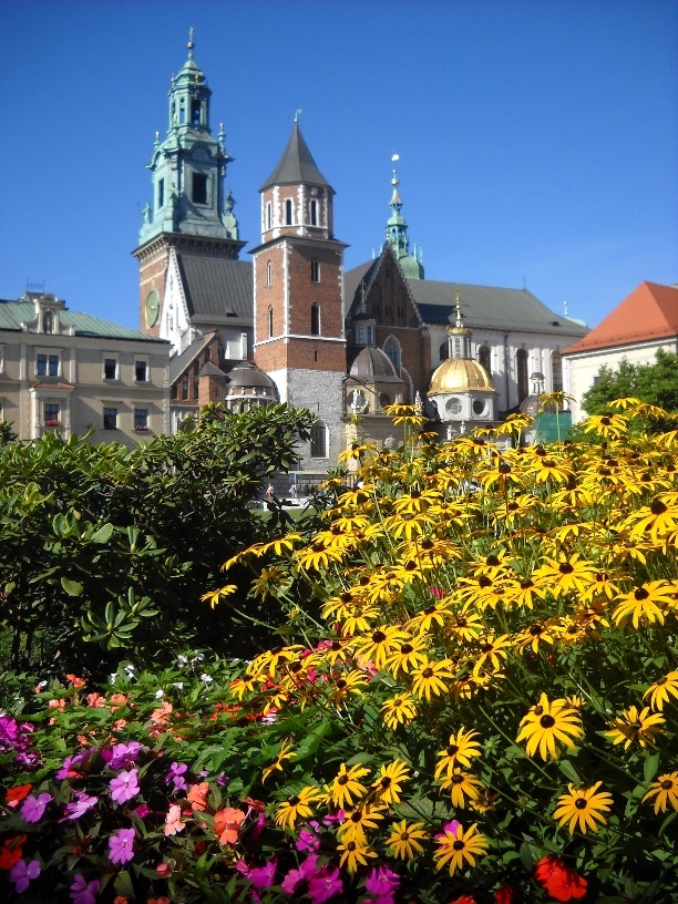 Wawel - widok na katedrę