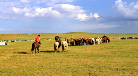 step na obrzeżach UB – Ułan Bator, Mongolia