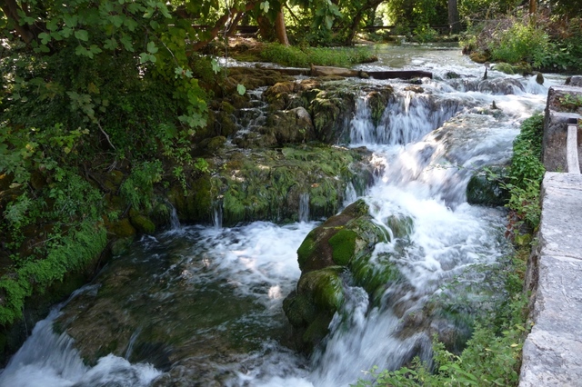 N.P. Krka