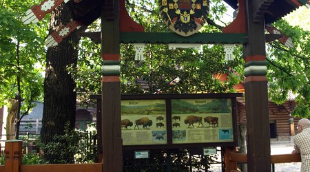 Berlin ZOO – Niemcy