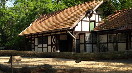 Berlin ZOO – Niemcy