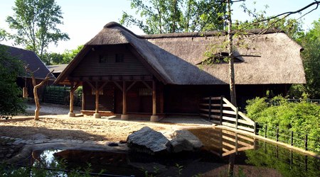 Berlin ZOO – Niemcy