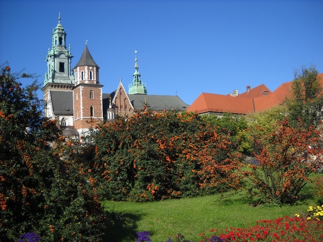 Wawel - widok na katedrę
