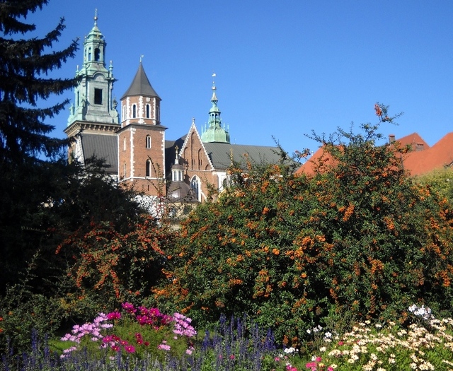 Wawel - widok na katedrę