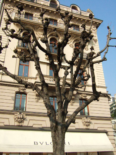 Lugano szwajcaria 020