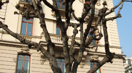 Lugano szwajcaria 020
