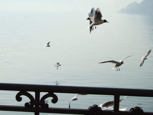 Lugano szwajcaria 029