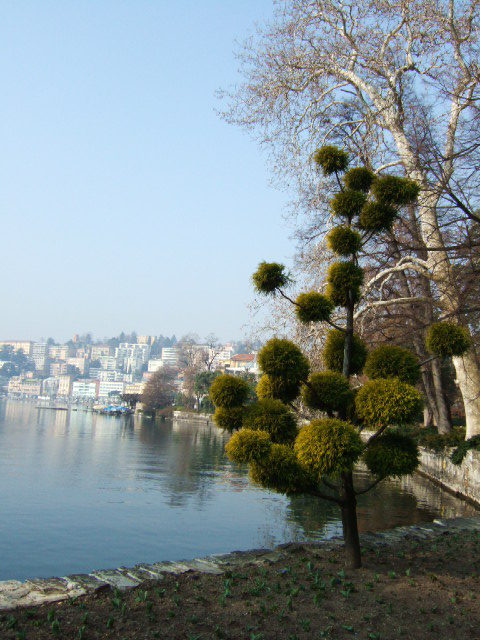 Lugano szwajcaria 038