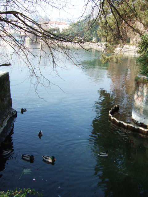 Lugano szwajcaria 042