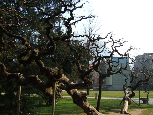 Lugano szwajcaria 056