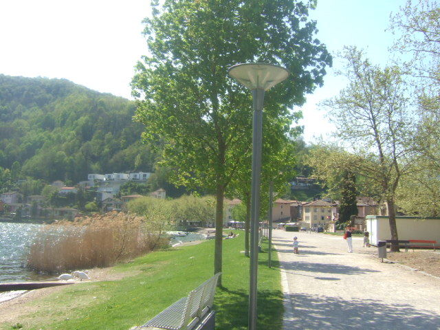 Caslano 052