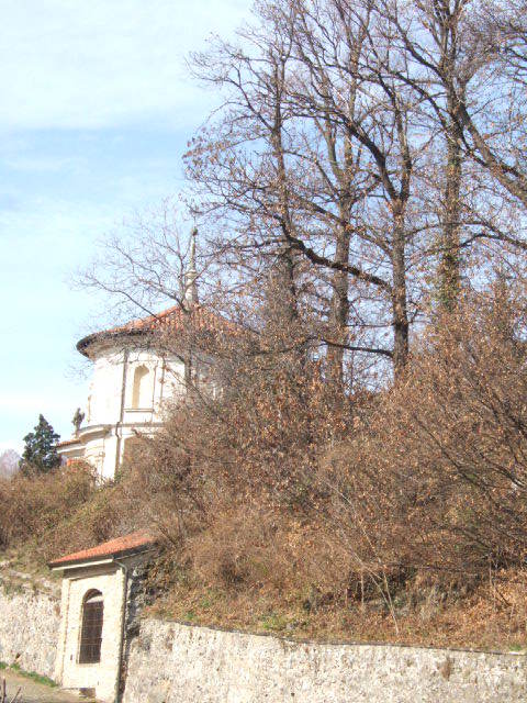 1618097 - Varese