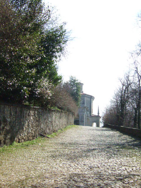 1618103 - Varese