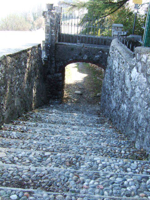 1618105 - Varese