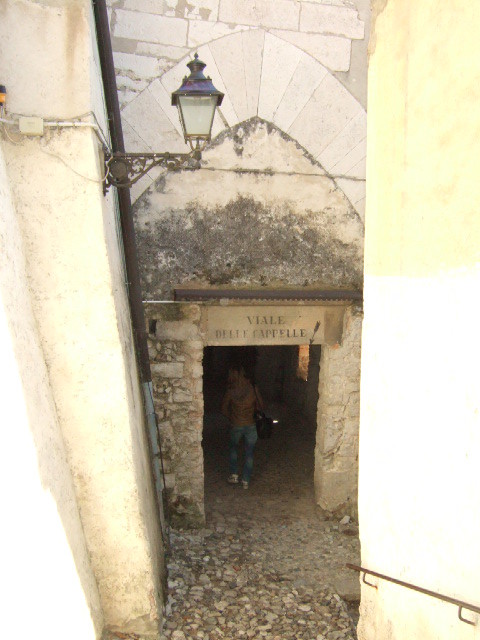 1618109 - Varese