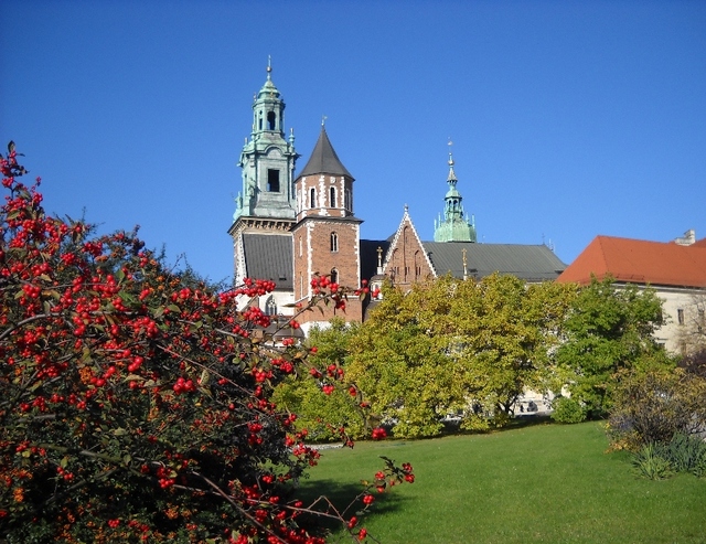Wawel - widok na katedrę