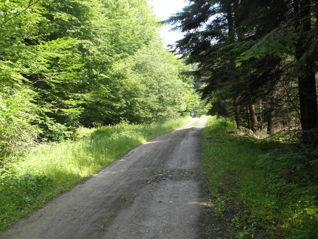 P6100758 1