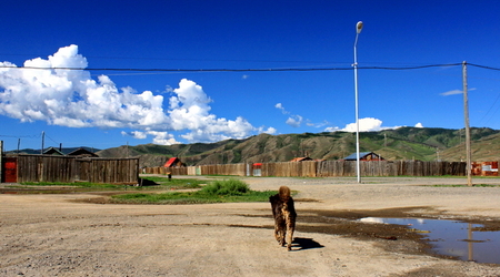 ulice Karakorum od strony psa – Mongolia