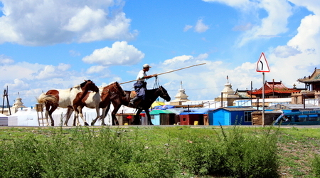poganiacz stada – Karakorum, Mongolia
