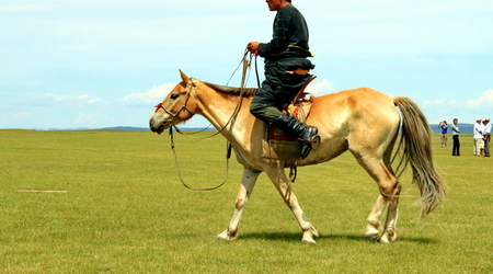 starszy jeździec – Karakorum, Mongolia