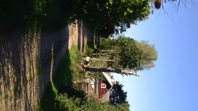 Pic 7294