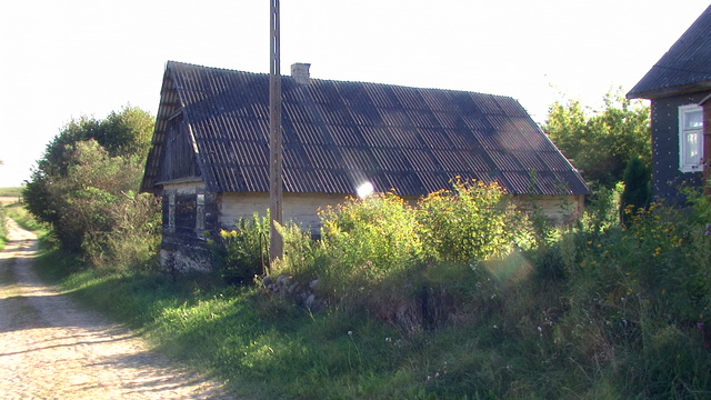 Pic 7287