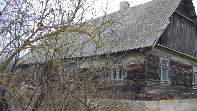 Pic 4291