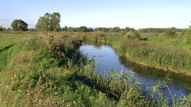Pic 6873